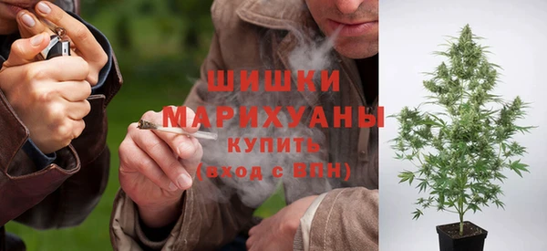 бошки Краснослободск