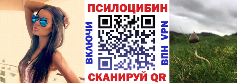 Купить где  Удачный  Псилоцибиновые грибы Cubensis 