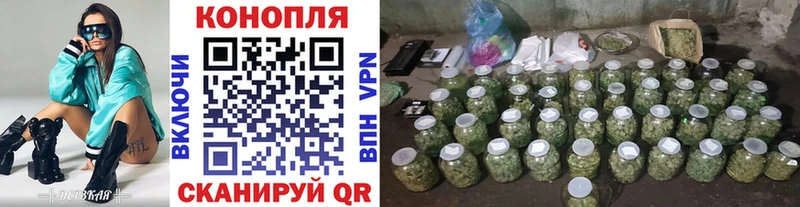 МАРИХУАНА ГИДРОПОН  Купить где  Удачный 